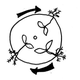 Image for article titled How do plants know which way is up?